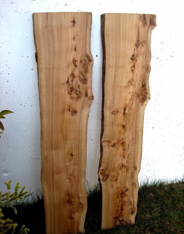 Pendientes de madera de Olmo