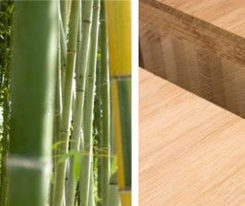 Pendientes de Bambú